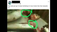 Hoax Lama Soal Telur Ikan Berbahaya Muncul Lagi, Ini Faktanya