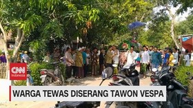 VIDEO: Warga Tewas Diserang Tawon Vespa