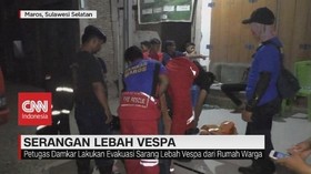 VIDEO: Dua Orang Tewas Diserang Lebah Vespa