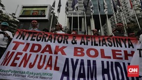 Peternak Rugi Rp2 T Karena Banjir Impor Ayam