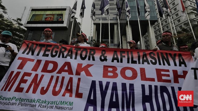 Peternak mengaku rugi Rp2 triliun karena pemerintah membuka keran impor ayam 707 ribu ekor per tahun.