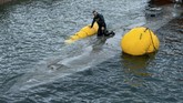 FOTO: Melihat dari Dekat Kapal Selam Penyelundup Kokain Sebuah kapal selam tak dikenal yang ditangkap di Kota Cangas, Galicia, Spanyol, memuat narkotika jenis kokain sebanyak tiga ton.