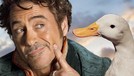 Robert Downey Jr berperan sebagai Dr&period; John Dolittle dalam film animasi komedi Dolittle&period; Robert juga mengunggah poster penampakan sejumlah karakter di Instagram&period;