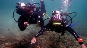 VIDEO: Menikmati Alam Bawah Laut Pulau Lembeh Sulawesi Utara