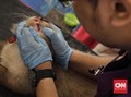 Kekurangan Vaksin, Rabies Melonjak di China