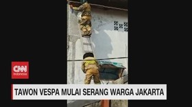 VIDEO: Tawon Vespa Mulai Serang Warga Jakarta