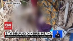 VIDEO: Warga Temukan Bayi di Kebun Pisang