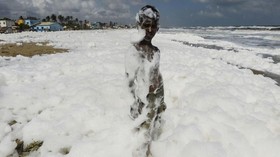 FOTO : Fenomena Busa di Pantai Marina India