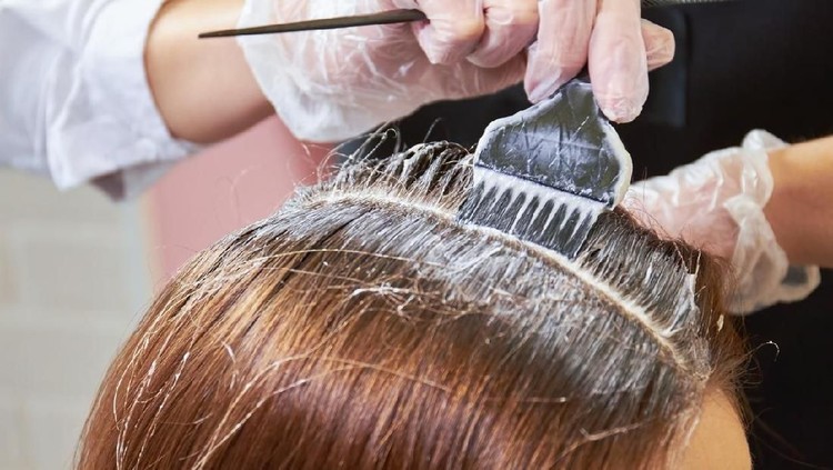 ilustrasi cat rambut ilustrasi cat rambut