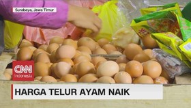 VIDEO: Harga Telur Ayam Naik