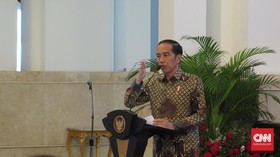 Jokowi Akan Minta BPDP Kejar Peremajaan Sawit 500 Ribu Ha