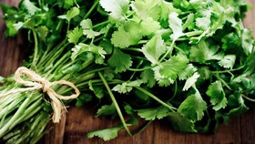 Yang Lagi Diet Merapat, 3 Air Rebusan Daun Ini Bisa Usir Lemak Perut