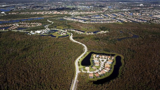 Foto Bertarung Dengan Iklim Selamatkan Taman Everglades