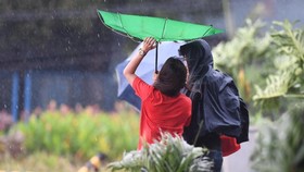 Badai Tropis Beta Disertai Hujan Deras dan Angin Hantam AS