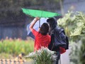 Badai Tropis Beta Disertai Hujan Deras dan Angin Hantam AS