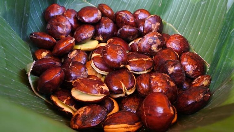 jengkol Creative Image