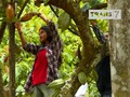 VIDEO: Wisata di Alam Tanah Rencong