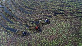 NYALANG: Belenggu Bayang-bayang Semu Foto-foto unik pilihan CNNIndonesia.com pada pekan ini berisi di antaranya soal mobil pasir di Argentina hingga buaya raksasa di Amerika Serikat.