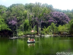 5 Destinasi Wisata ala Jepang yang Instagramable di Malang dan Kota Batu
