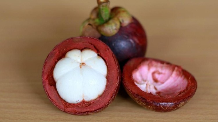Berbagai kandungan buah manggis baik untuk ibu hamil dan janin.