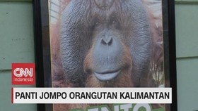VIDEO: Panti Jompo Orangutan Kalimantan