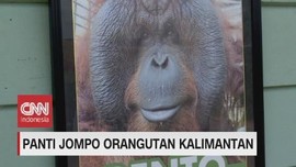 VIDEO: Panti Jompo Orangutan Kalimantan