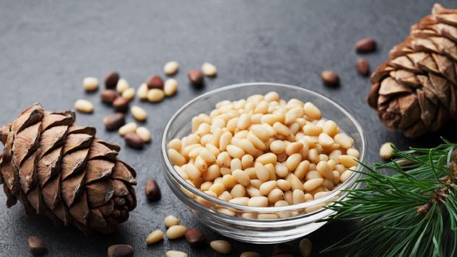 Kacang pinus memiliki banyak manfaat untuk kesehatan, mulai dari menguatkan tulang hingga mencegah penyakit jantung.