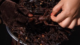 FOTO: Tarantula Goreng, Si Renyah Camilan Unik dari Kamboja