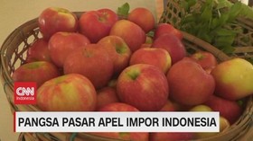 VIDEO: Melihat Pangsa Pasar Apel Impor Indonesia