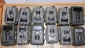 Polisi Ciduk Pencuri 13 Kamera Pemantau Harimau Sumatera