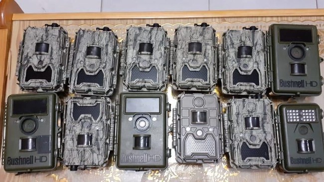 Polisi menangkap dua orang pencuri 13 unit camera trap atau kamera perangkap milik BBKSDA Sumatera Utara yang berguna untuk memantau harimau pemangsa ternak.