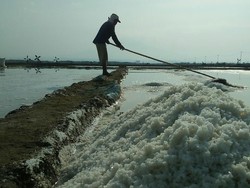 Cirebon Jadi Sentra Produksi Garam di Jabar