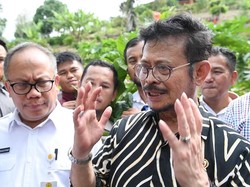 Mentan Minta Distribusi Pupuk dan Benih ke Petani Tepat Sasaran