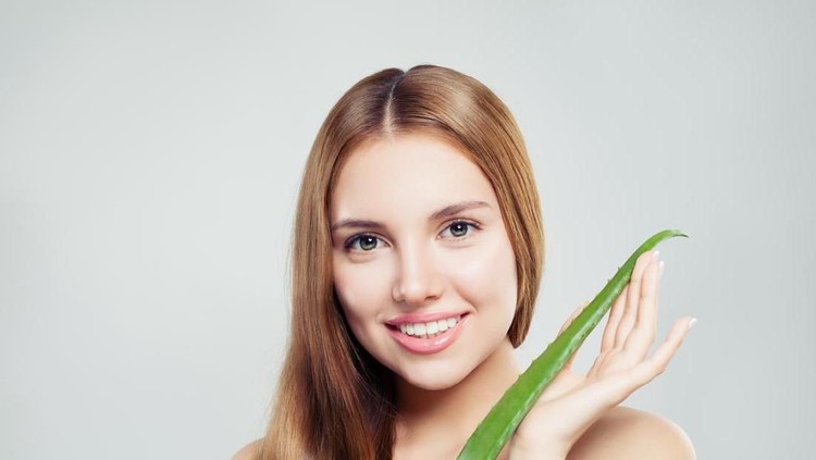 Bunda termasuk yang suka menggunakan aloe vera atau lidah buaya sebagai bahan alami untuk perawatan kulit? Yuk simak sederet manfaatnya berikut.