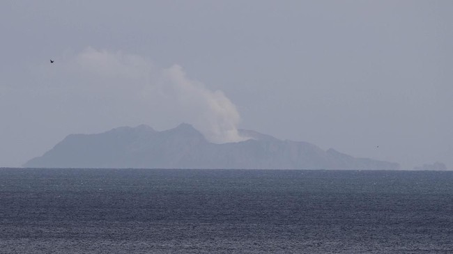 Kepolisian Selandia Baru turun tangan menyelidiki kematian sejumlah wisatawan yang berkunjung ke Pulau Putih akibat letusan gunung.