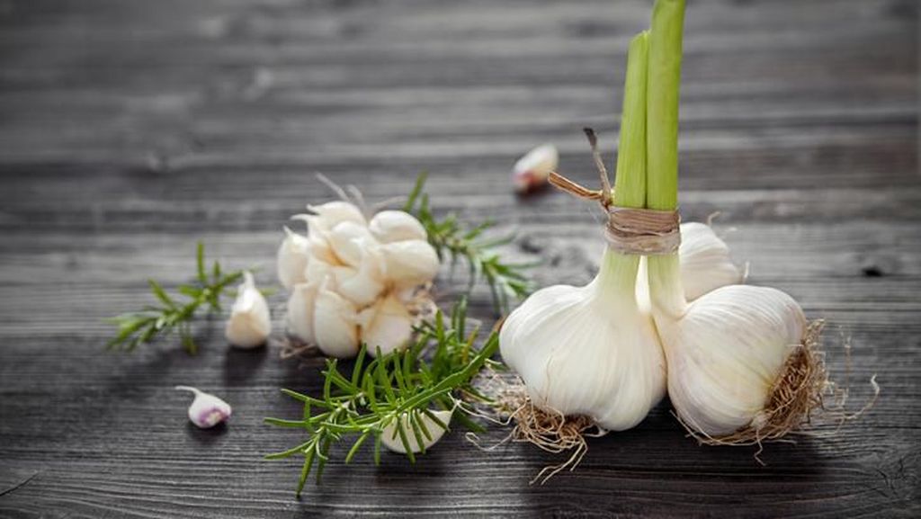 Benarkah Bawang Putih yang Sudah Bertunas Aman Dimakan? Ini Kata Ahli