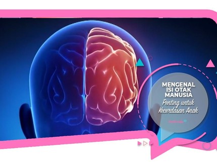 Mengenal Isi Otak Manusia, Penting untuk Kecerdasan Anak