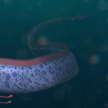 Dikaitkan dengan Kiamat, Benarkah Oarfish Bawa Pertanda Buruk?