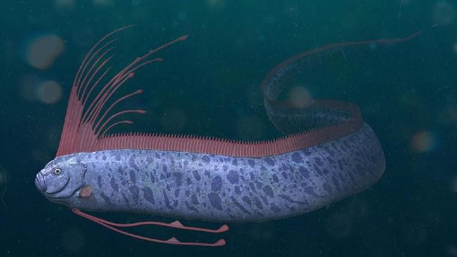 Dikaitkan dengan Kiamat, Benarkah Oarfish Bawa Pertanda Buruk?