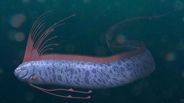 img-title Dikaitkan dengan Kiamat, Benarkah Oarfish Bawa Pertanda Buruk?