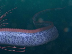 Heboh Naga Laut Muncul di Tepi Pantai, Pertanda Datang Bencana?