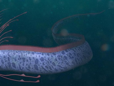 Dikaitkan dengan Kiamat, Benarkah Oarfish Bawa Pertanda Buruk?