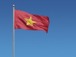 Pemerintah Vietnam Wajibkan FB-TikTok Bagi Data, Aktivis Protes