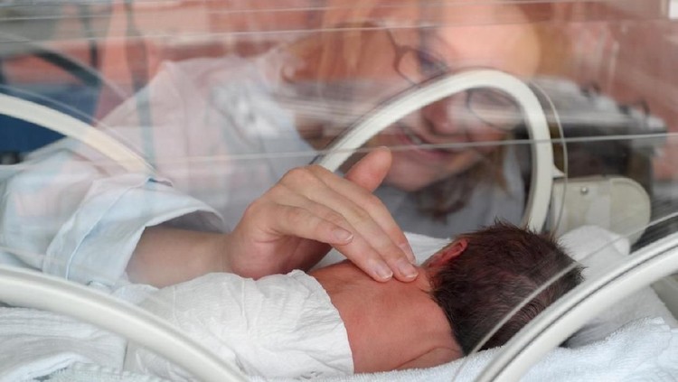 Newborn Premature in Incubator