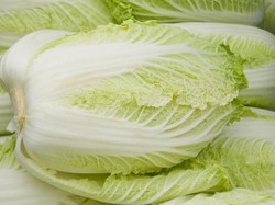 Setelah Jamur Enoki, Kini Benih Sawi Putih Asal Korea Dimusnahkan