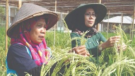 Batan Kenalkan Nuklir Lewat Taman Sains & Agro Tekno