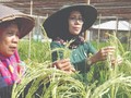 Batan Kenalkan Nuklir Lewat Taman Sains & Agro Tekno