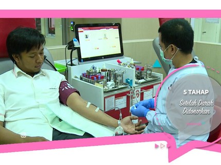 5 Tahap Setelah Darah Didonorkan