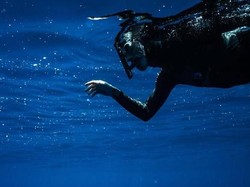 Makin Mengejutkan! Mikroplastik Ditemukan di Hewan Laut Dalam Indonesia Makin Mengejutkan! Mikroplastik Ditemukan di Hewan Laut Dalam Indonesia