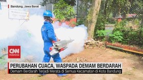 VIDEO: Perubahan Cuaca, Waspada Demam Berdarah